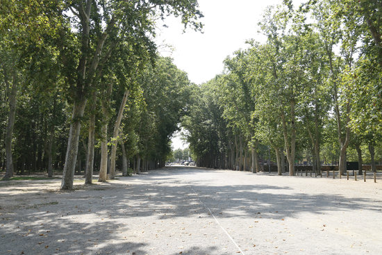 Image of Girona's Devesa park (Aleix Freixas/ACN)